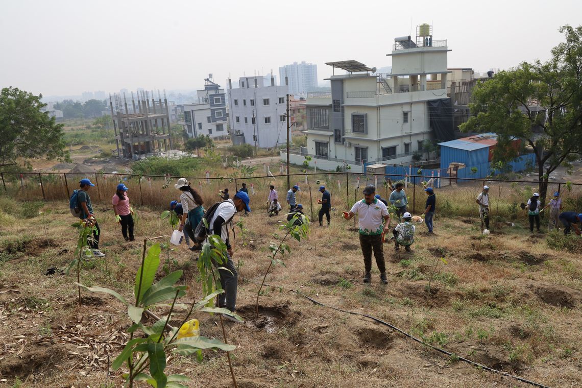 tree plantation drives michelin