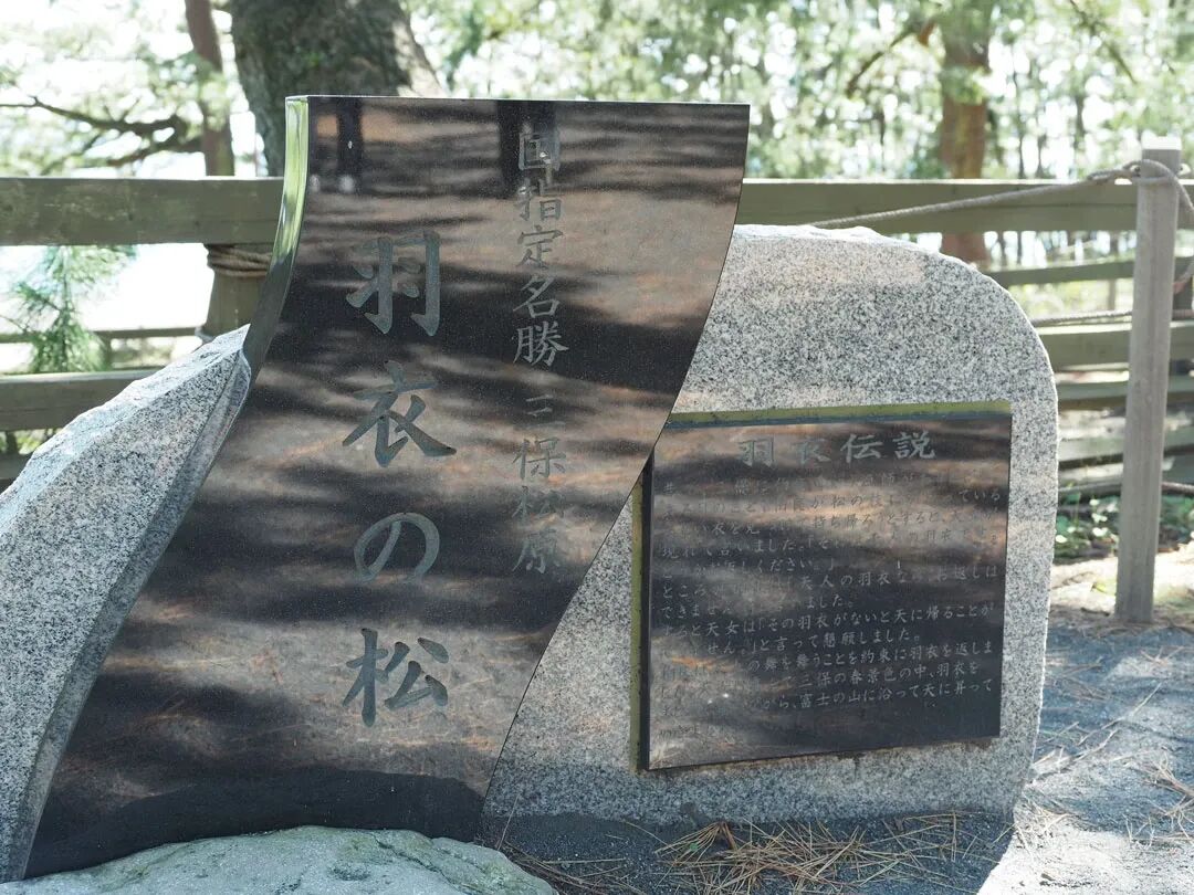 ck0qen91r01g40pmed5btuzuv ç¾½è ã æ ¾2 max