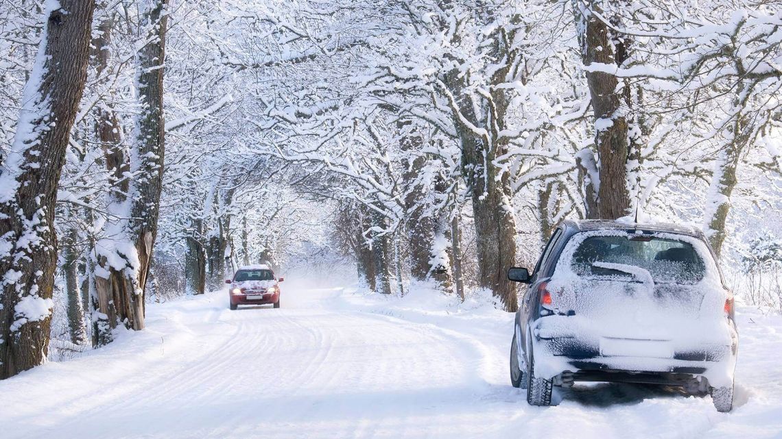 雪に覆われた並木道、走行中の赤い車と右側に駐車した青い車。