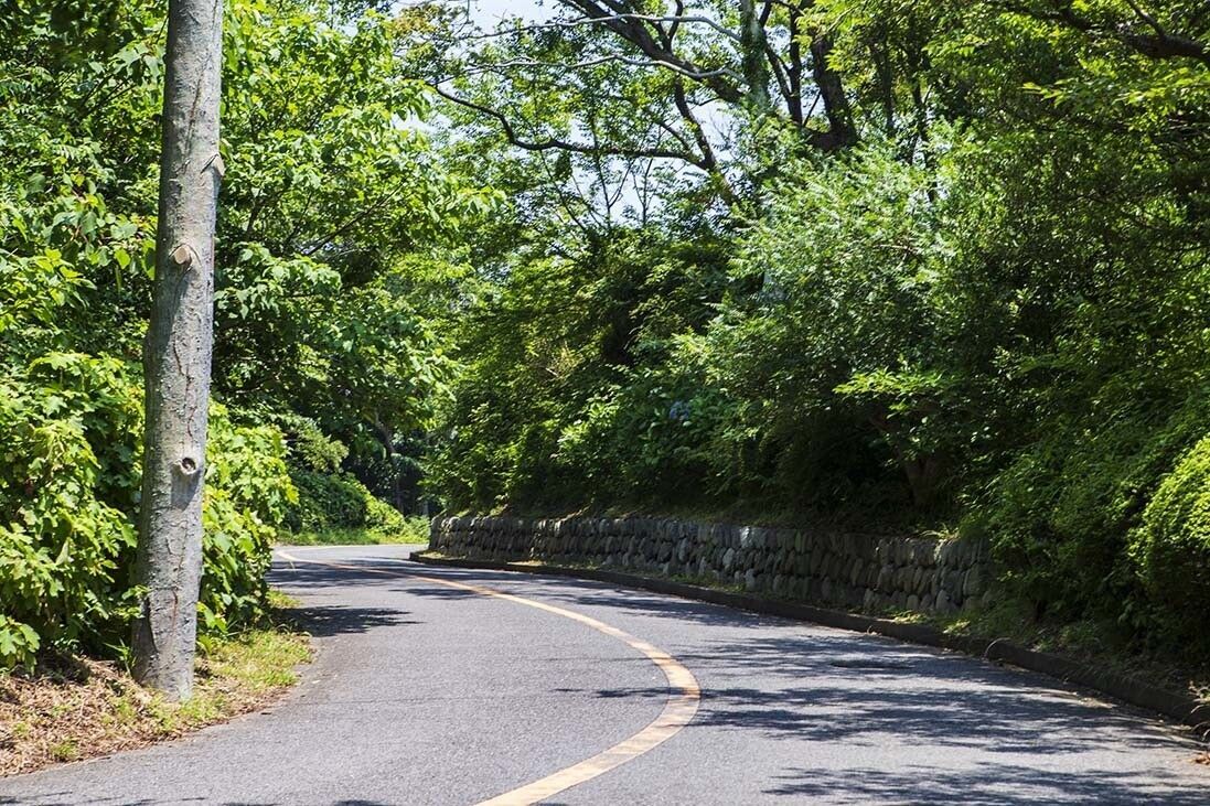cjnfolud20jxm0ipp591rhe9b road mountain max