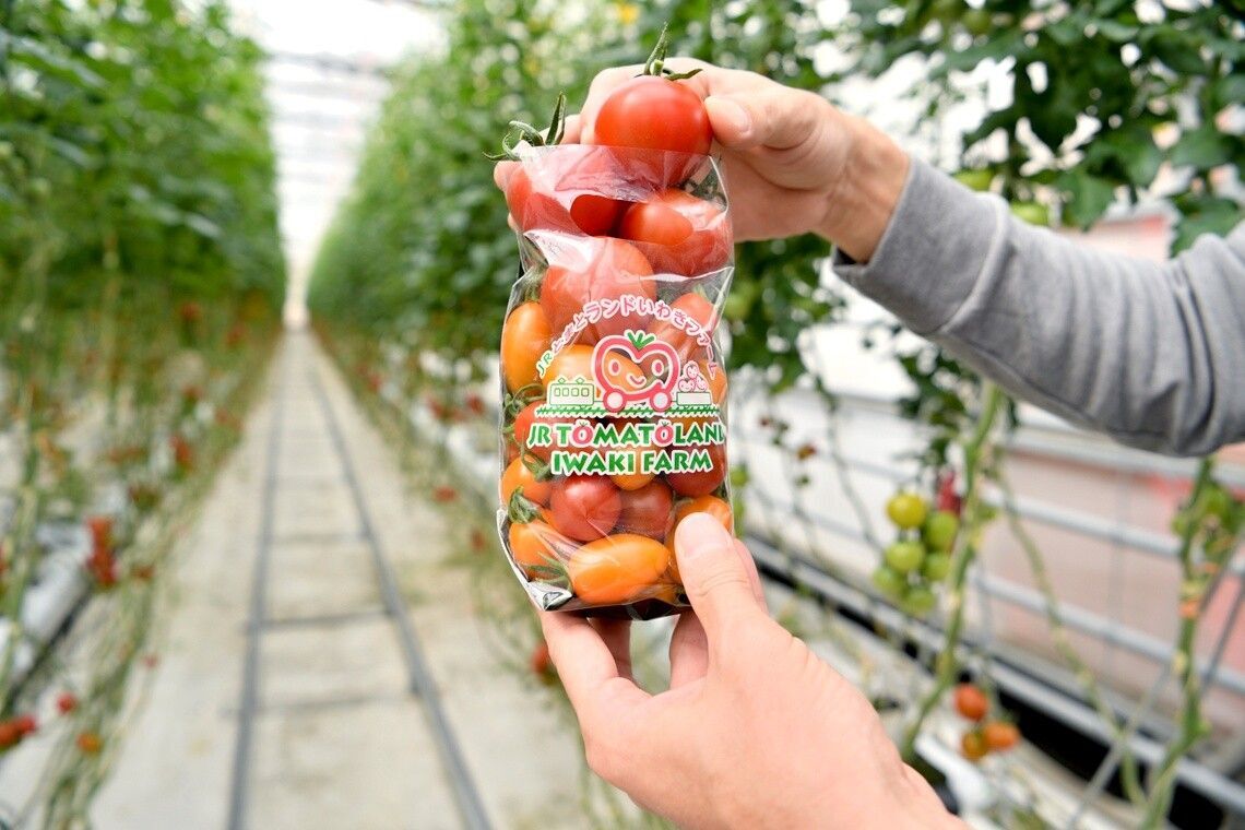 eprimacy fukushima 202508 12