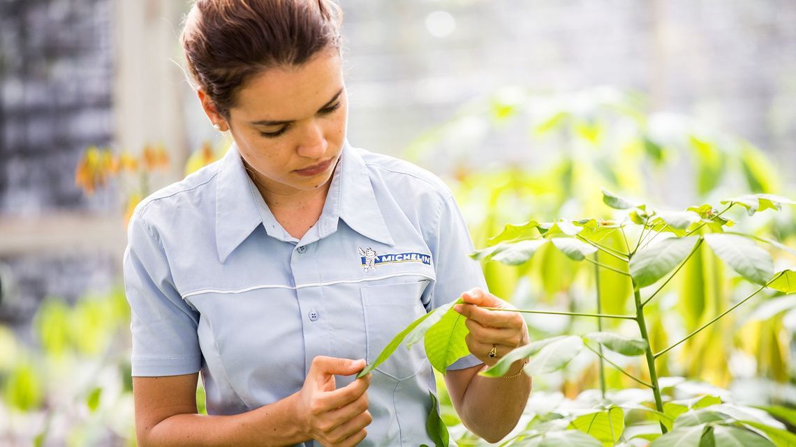すべてを持続可能に