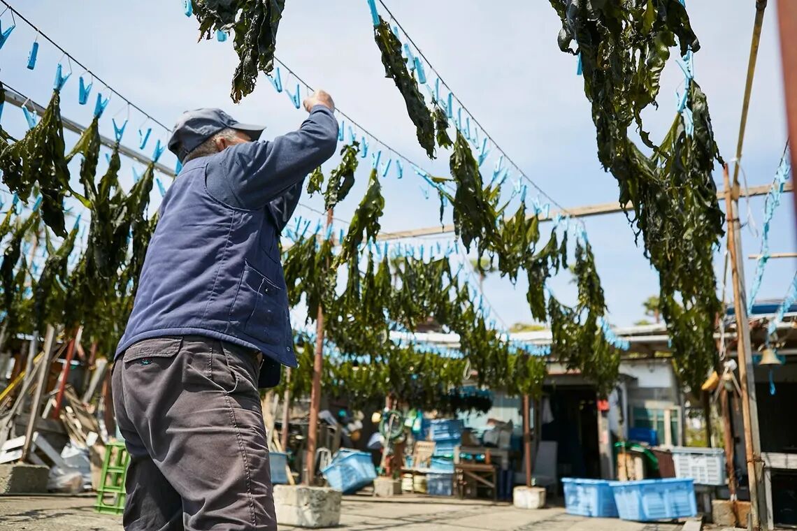 cknxyr4z300ak01oirzhih9cl mem 2wpc2021 1 11 max