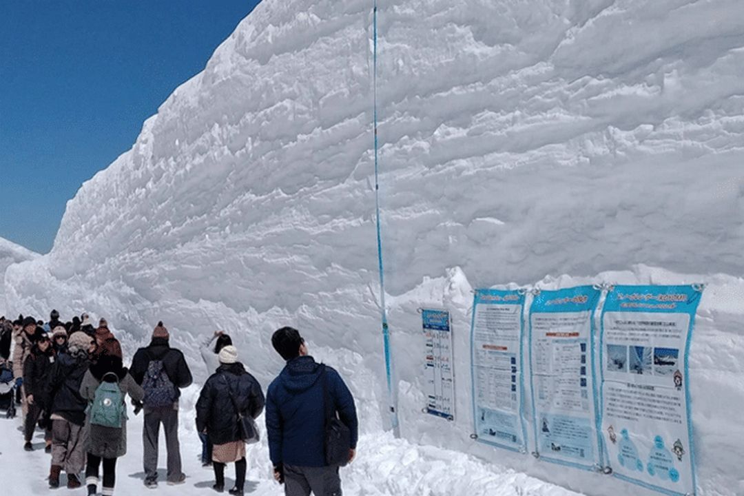立山黒部アルペンルートの雪壁