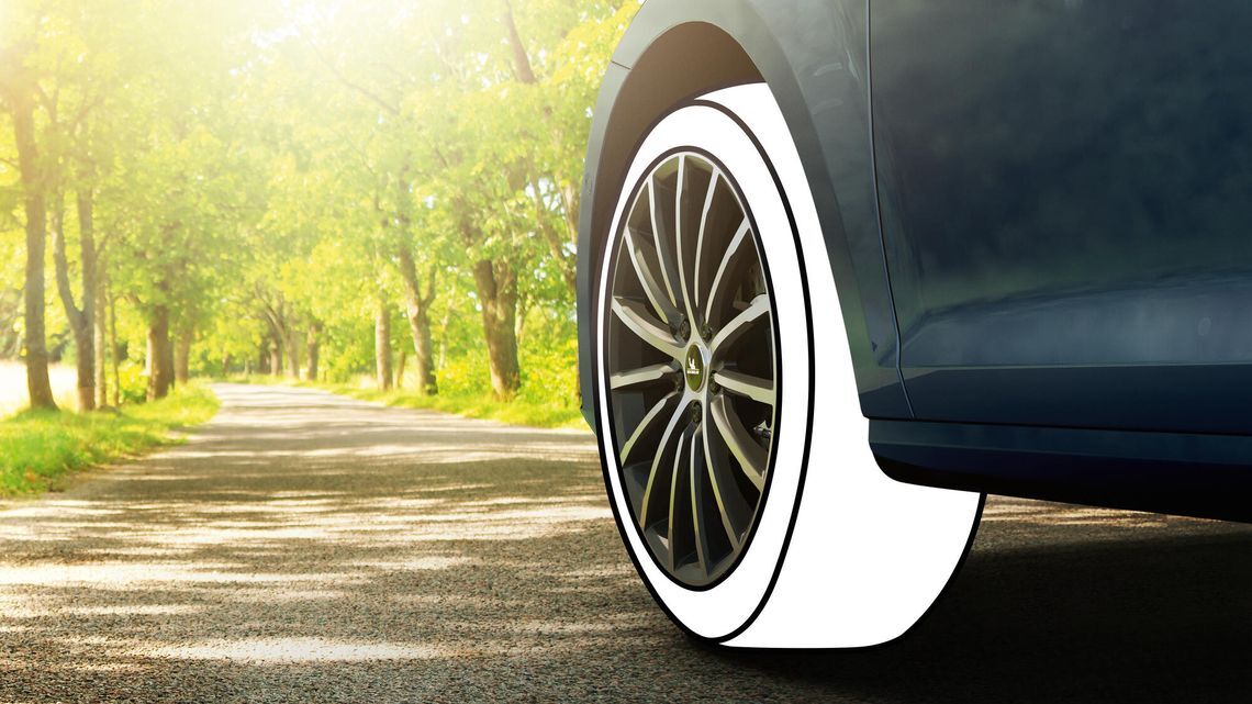 tire nature road
