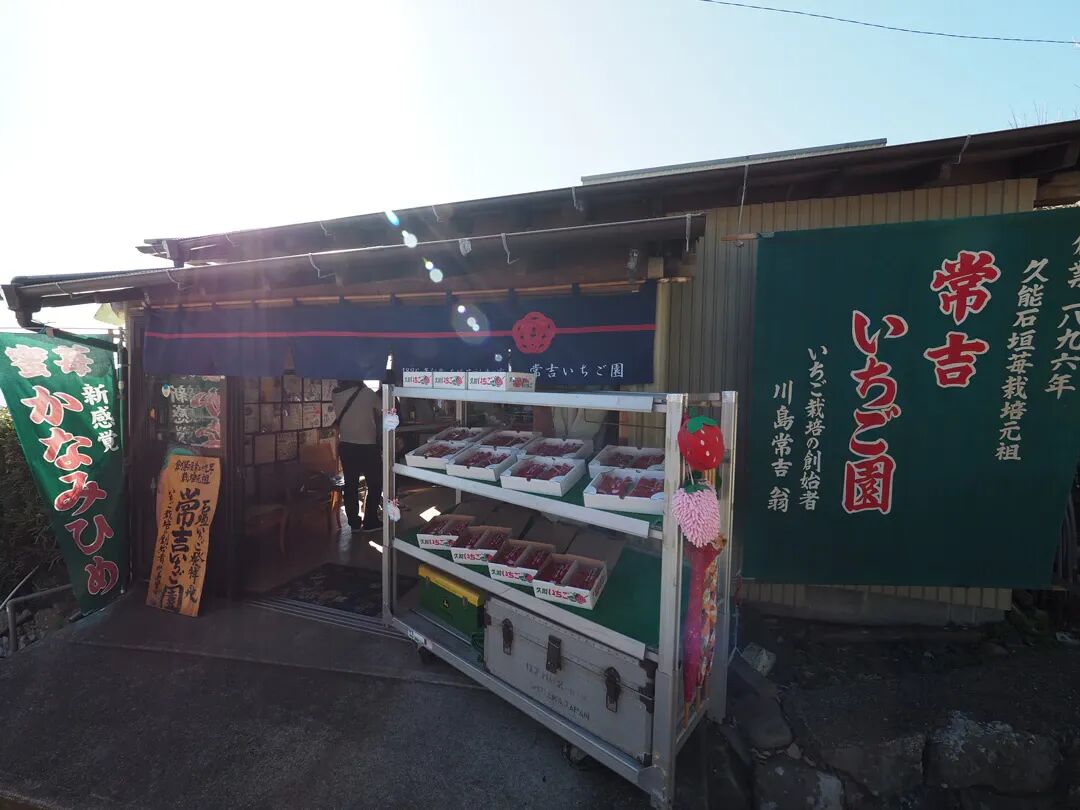 ck0qh9plb02kp0pme5stoz33t ç ³å ã ã ã 1 max