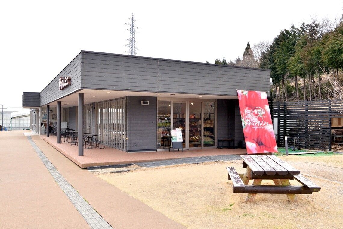 eprimacy fukushima 202508 07