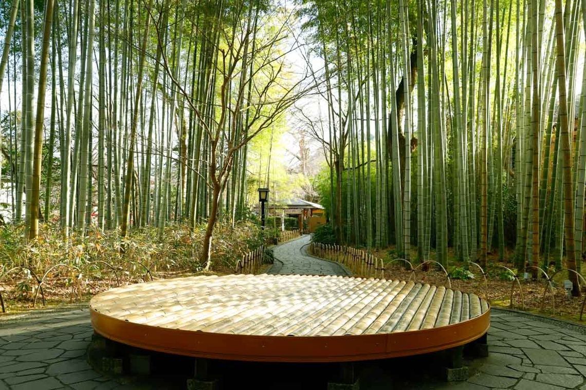 修善寺の竹林の小径_2