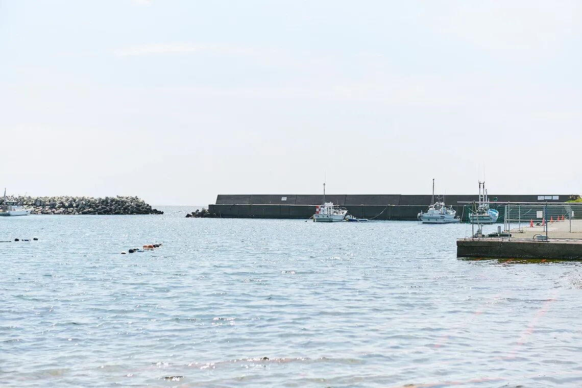 cknxyxp9s009k01or7xfn3qk5 mem 2wpc2021 1 13 full