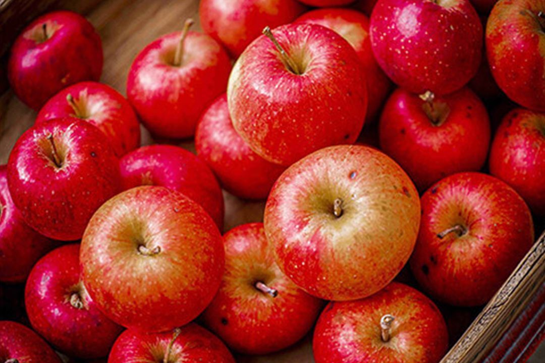 magazine tokyo2021 1 05