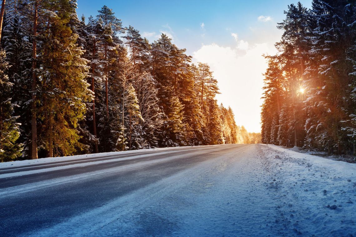 A winter road through a snowy forest, bathed in sunlight, highlighting the importance of motorcycle winter storage preparation