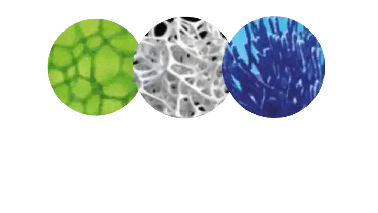 xclya9joja995rvmfr8l65c9 clugtv21y0bxd01keagwiq7xt picture1 full