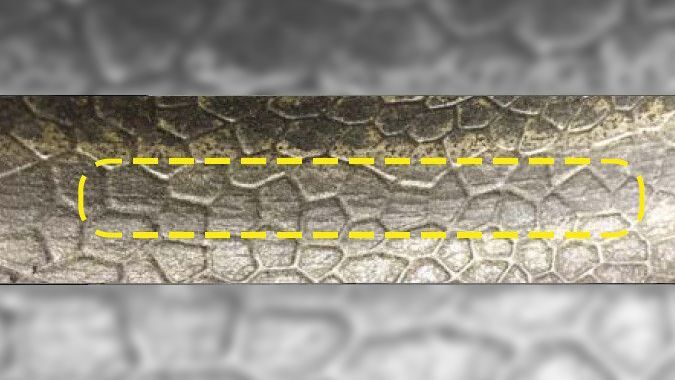 clchn43sd01zg01lpcuggcnhq marble full