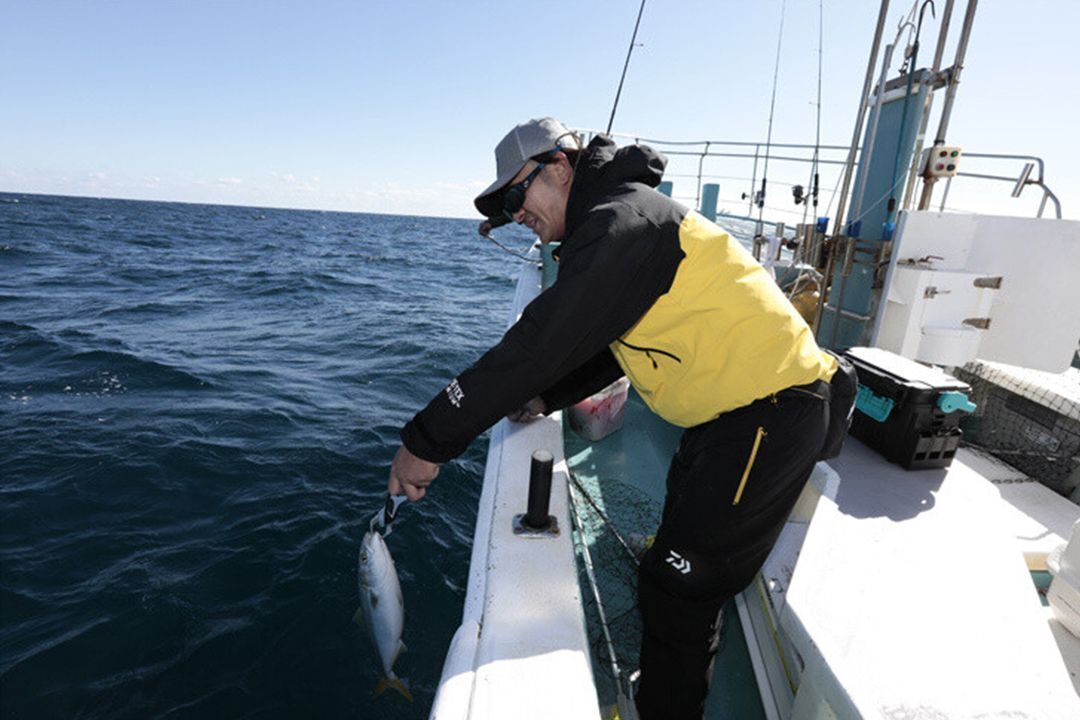 イナダが元気なうちに海へ戻す