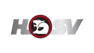 HSV