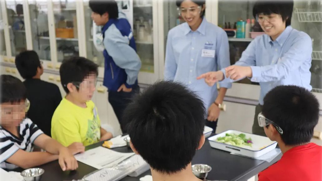 cl78qwukx06at01lk64st5pbs 9 mukai full