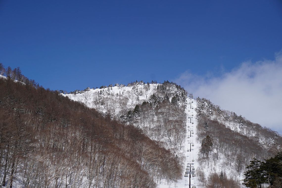 ckzrxrjwd022f01jlmnga5toy x icesnow trip 202202 14 max