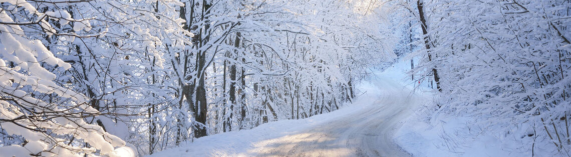 winter bg