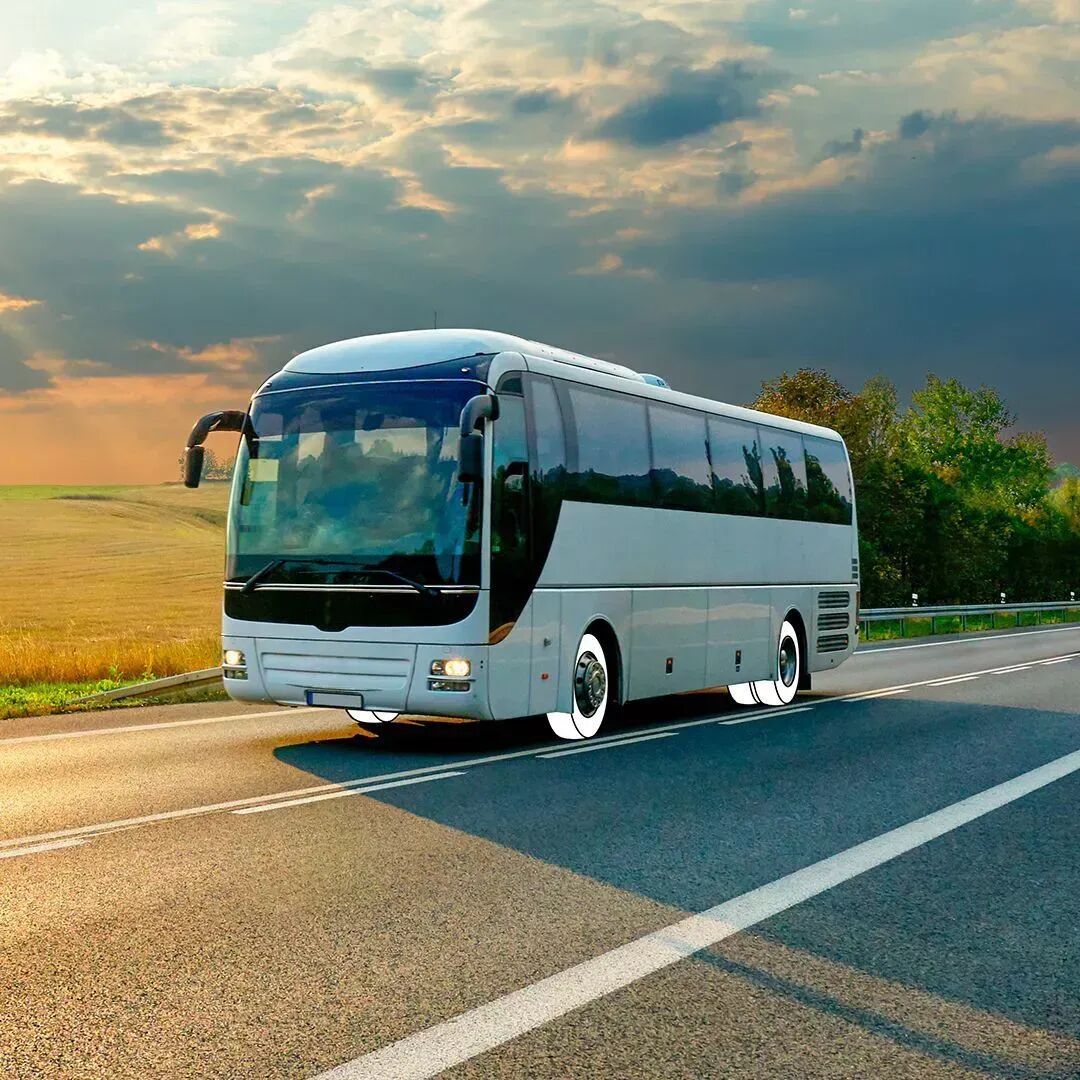 8e7669c3 8c7e 48d0 9f11 4a4aa5170461 full full