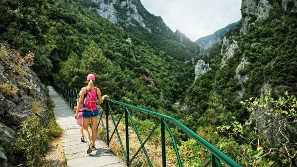 cm73czfy005c601kt3pq8y1ba istockphoto 1201429212 612x612 2