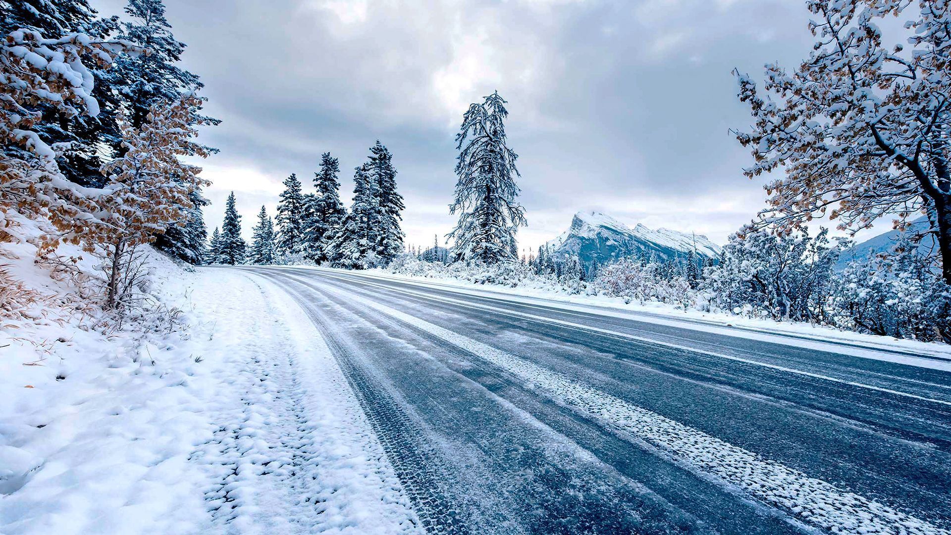 g9d8xgmtnxhwd4e4npzzgsaf lvo33veqfcfyyehlmkoama8g 20240119 browseby season winter 01