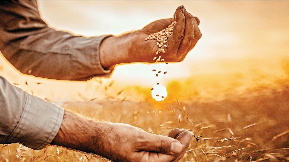 comm vocation cereal farming large cmyk 1