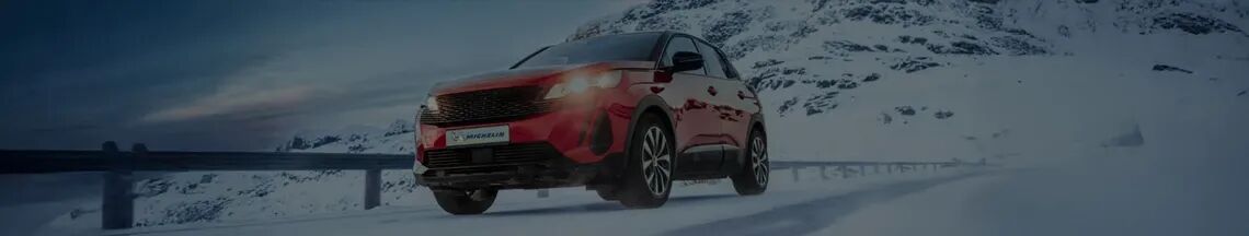 cm438evjl02x401p3dc8z05dn winter promise plan max