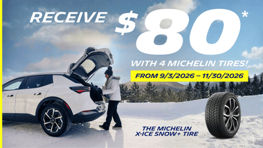 2026 Michelin Winter Promotion