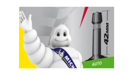 choose inner tube 2 valve schrader