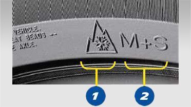 ckwn0nzks0dkf01pqui6e4vka m s 3pmsf full full