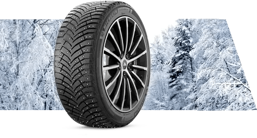 cllgovc0407f601n58s13gjhi x ice north new max