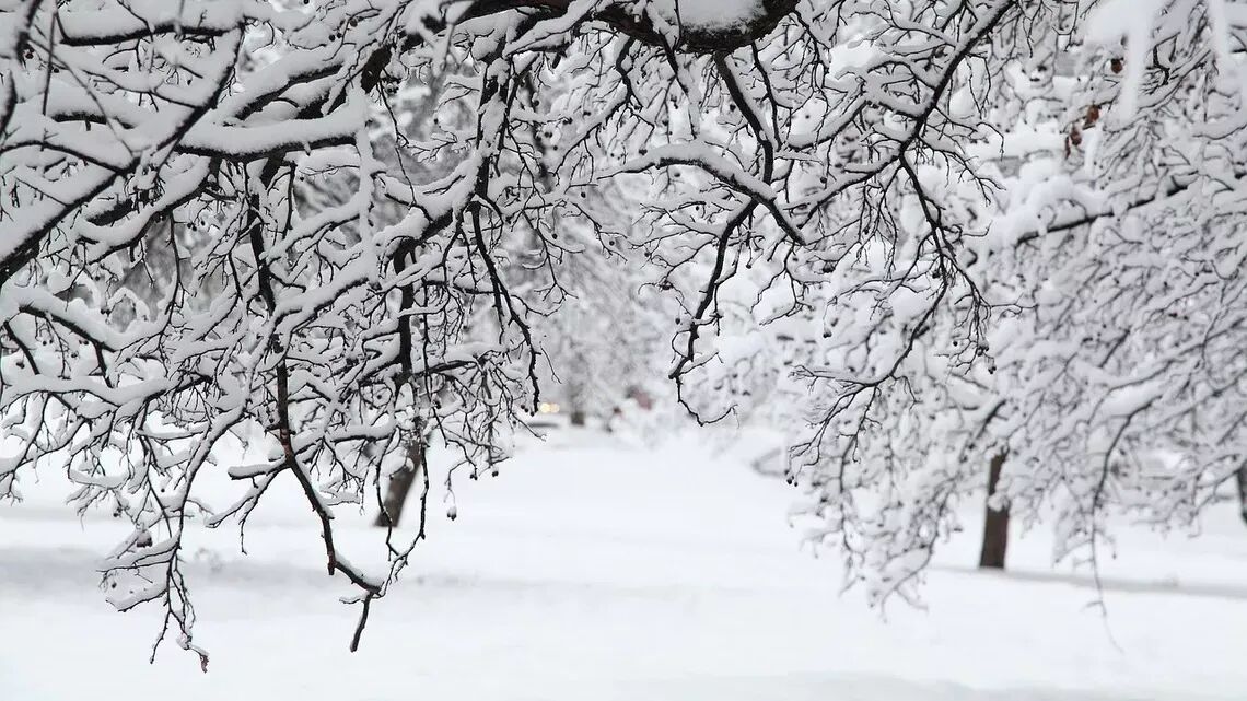 winter 4329429 1280 full