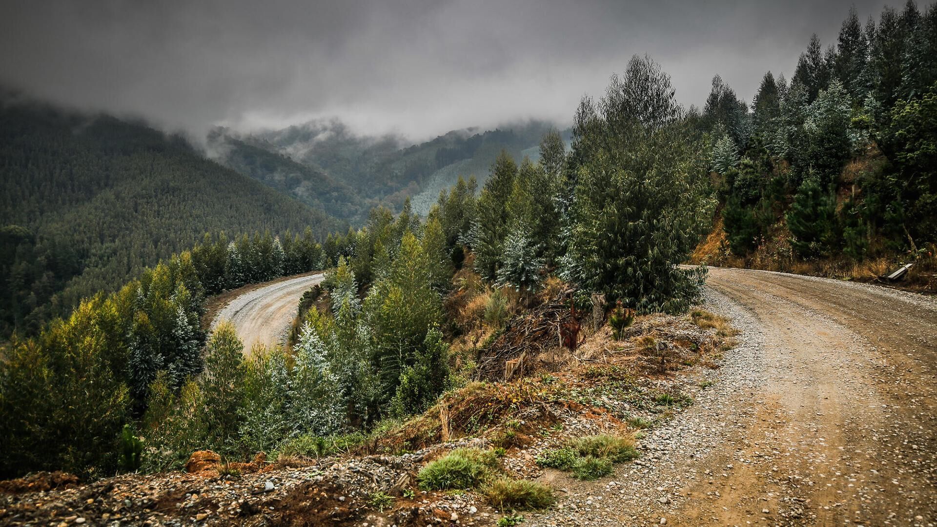Em alguns terrenos é melhor usar pneus para uso gravel ou Cyclocross em uma bicicleta de estrada