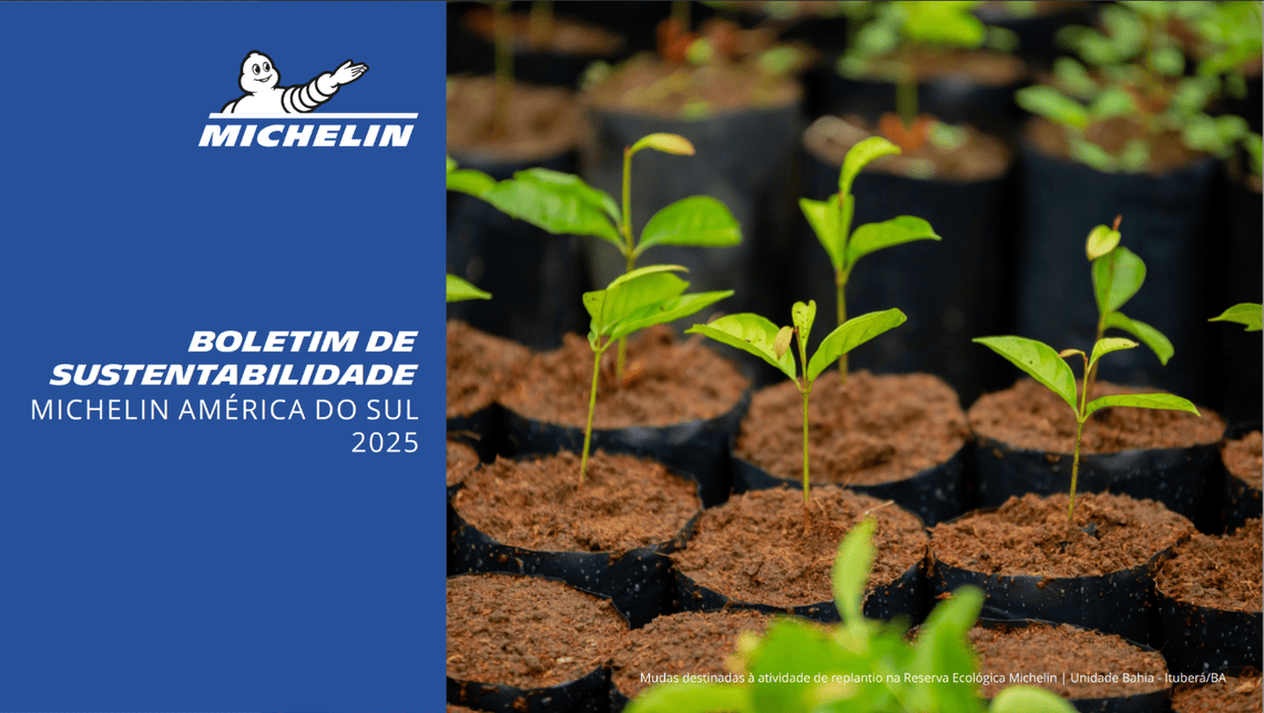 boletim sustentabilidade 2025