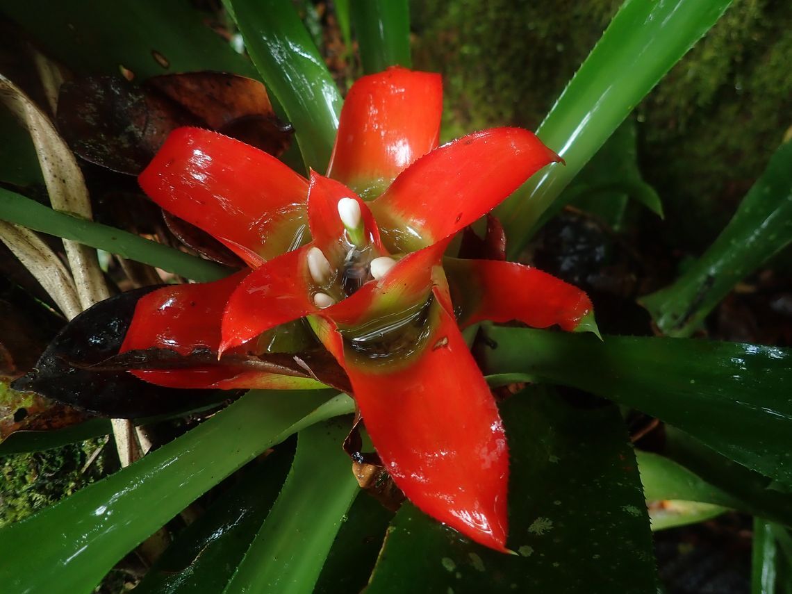 2021 12 21 vila 5 m 3550 isl 3