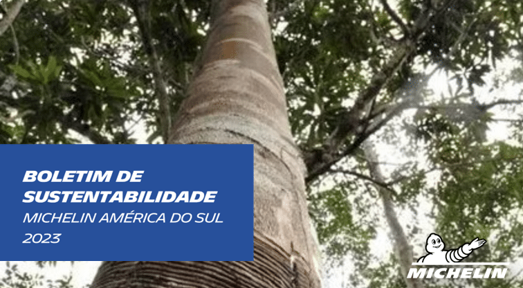boletim de sustentabilidade michelin america do sul 2023 capa