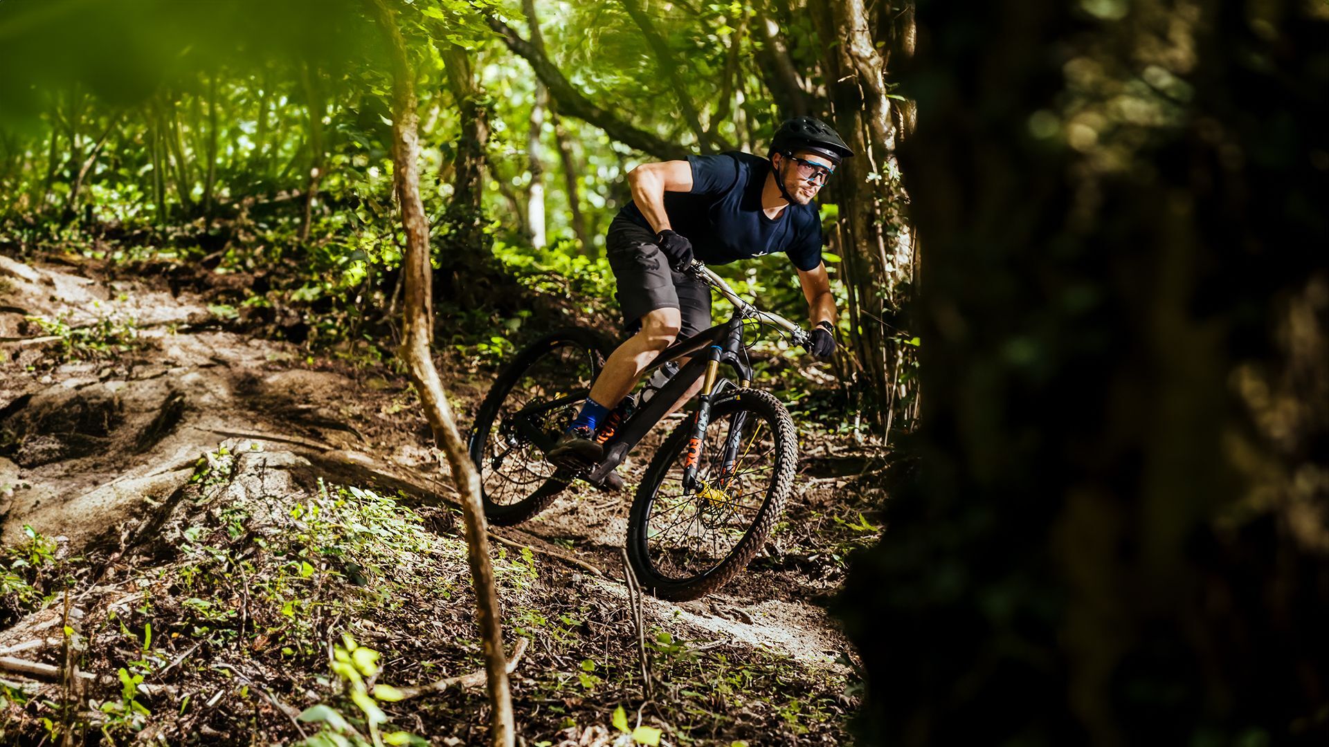 bike mtb amtrail