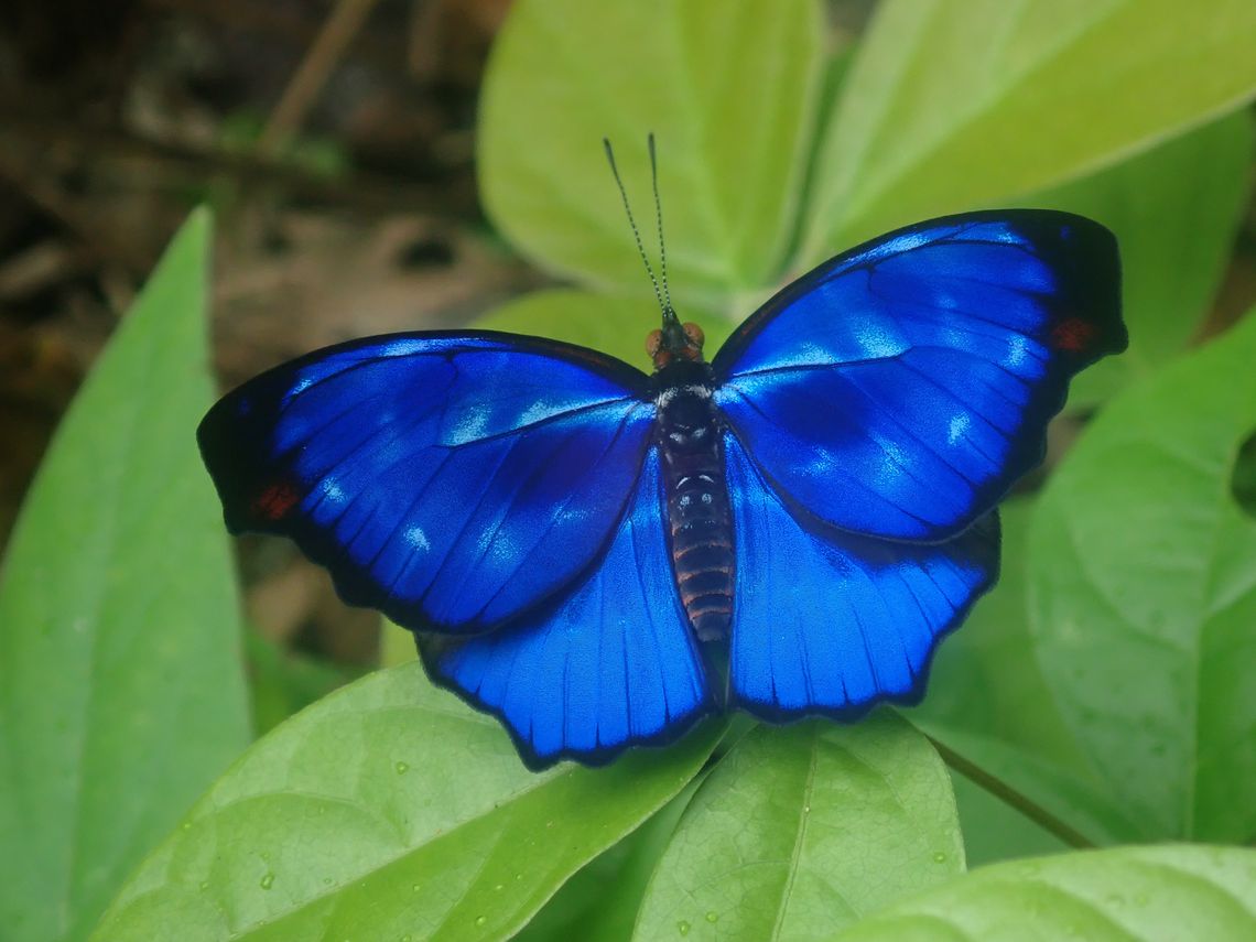 2021 11 10 2010 app restoration 4