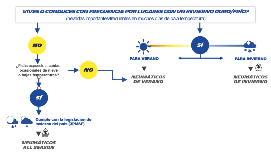 arból de decisión neumáticos de verano vs invierno vs all season