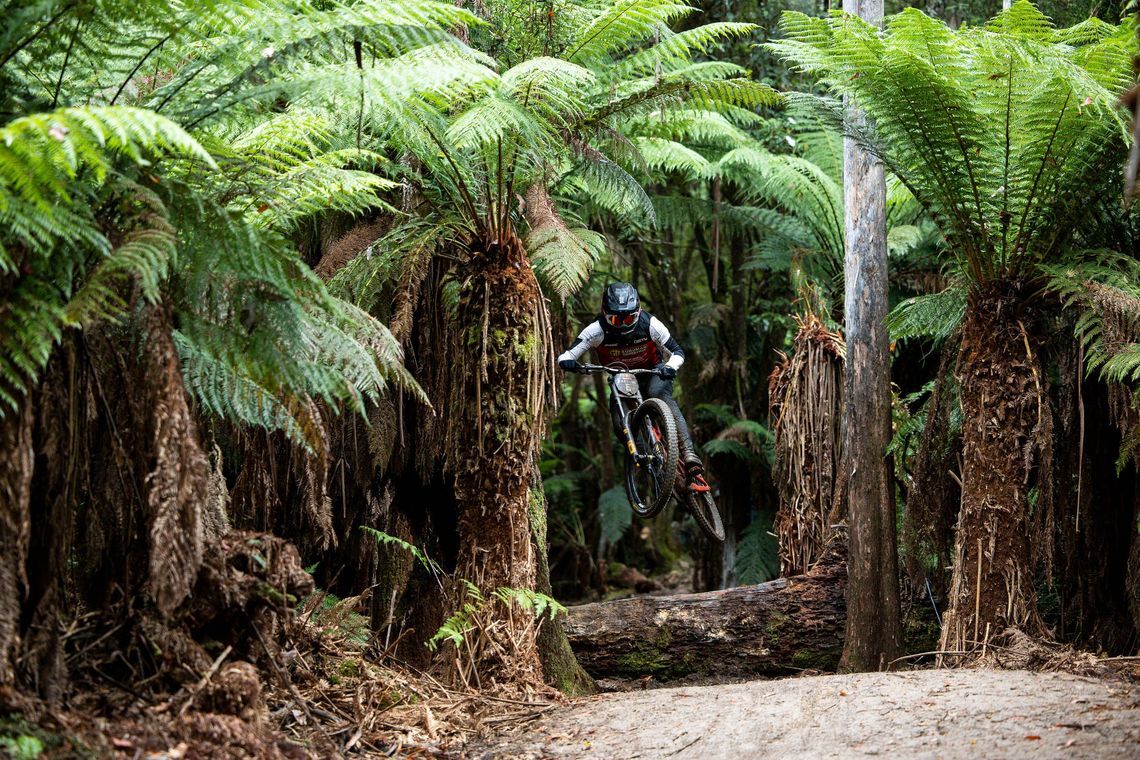 d2fvx459fdni5djwwh51fygd 240223 red bull hardline tasmania 0246