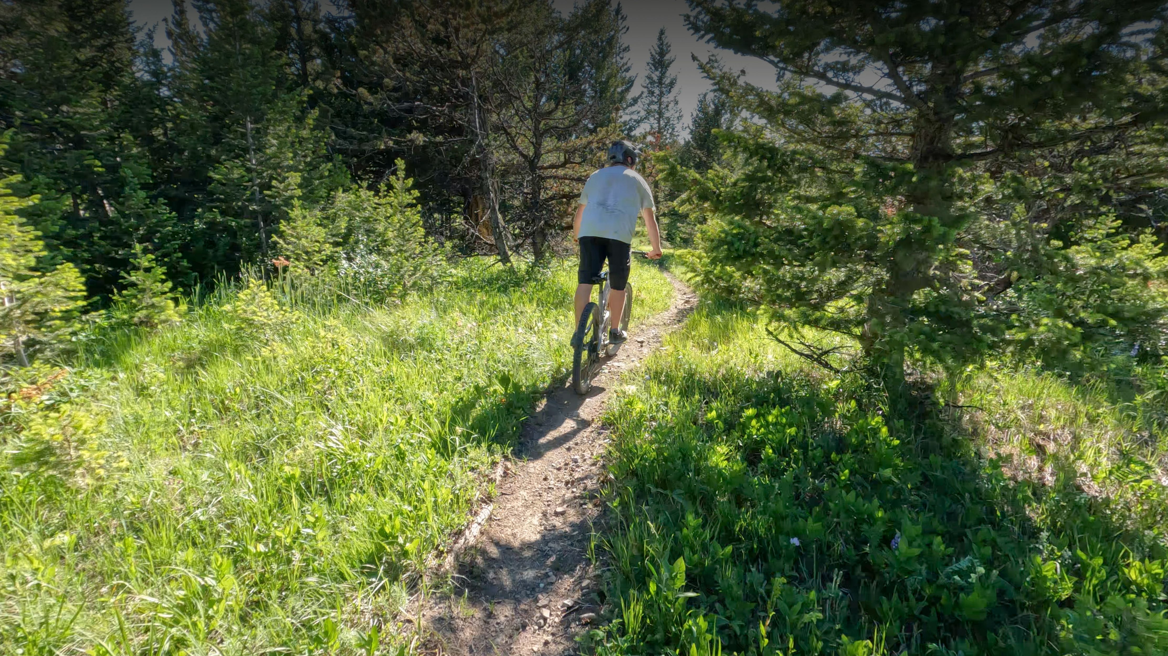 Pneus VTT loisir : performance et plaisir