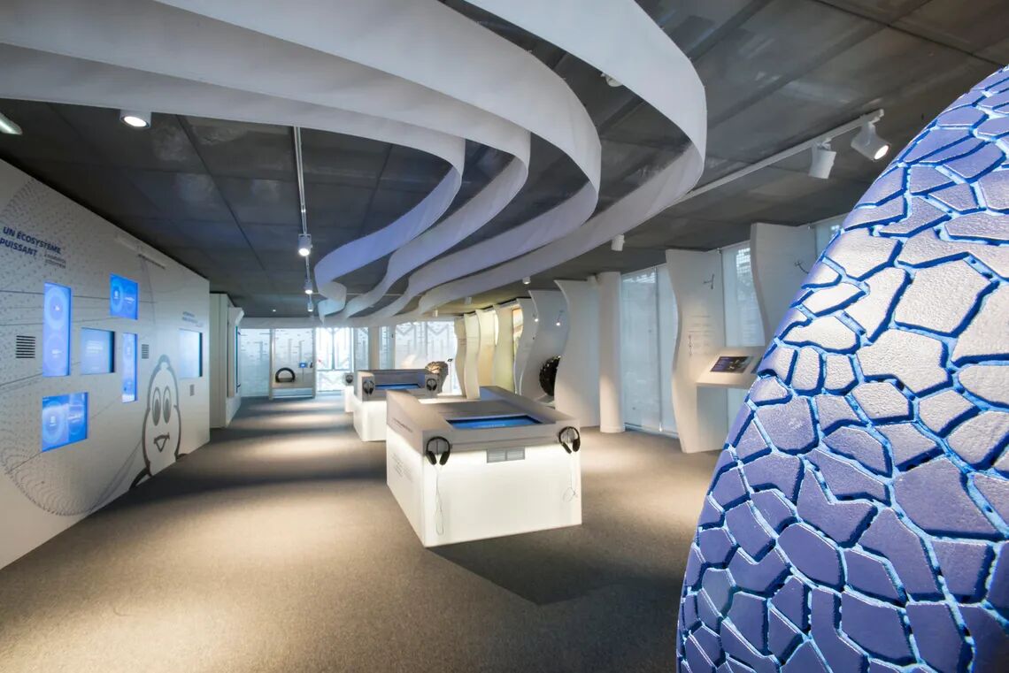 clj8m1jos1jn401kguugtxpgg gr003971 max