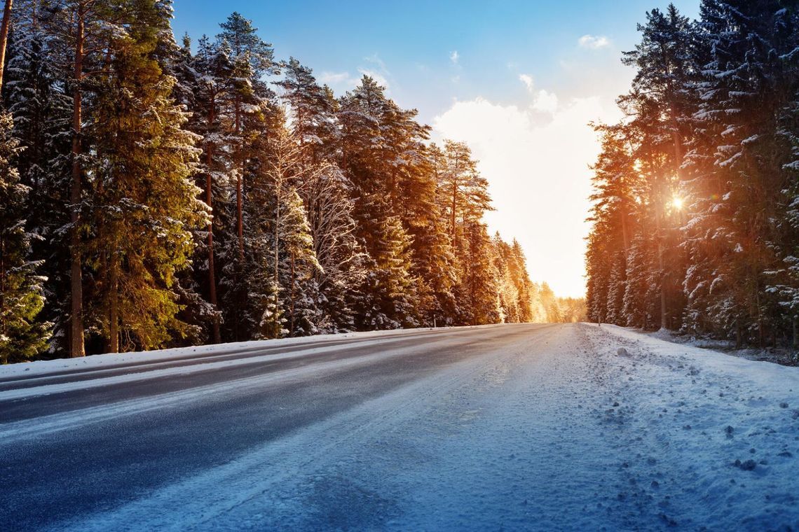 A winter road through a snowy forest, bathed in sunlight, highlighting the importance of motorcycle winter storage preparation