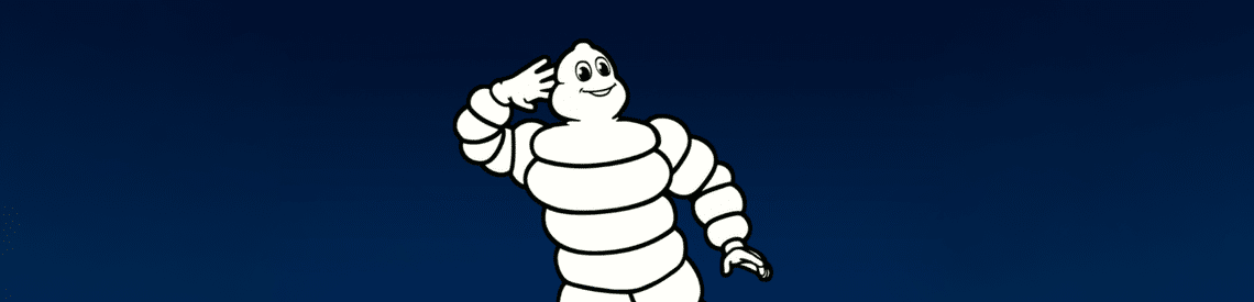 michelin bibendum terms and conditions