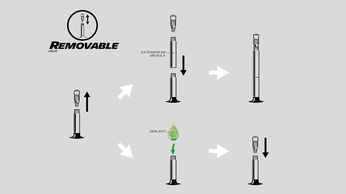 Removable valve