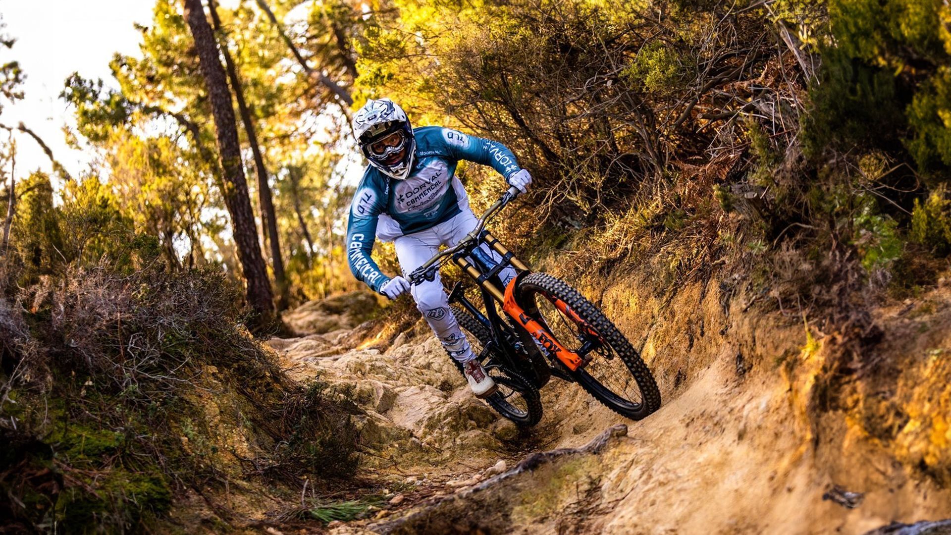Downhill MTB tyres