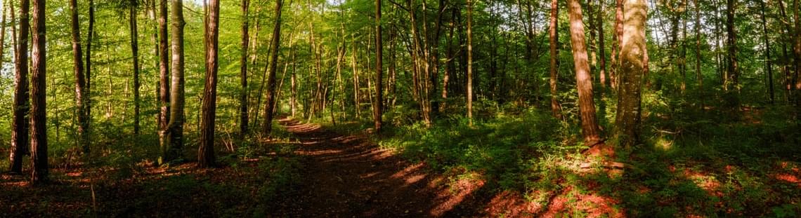 Motorrad Banner Hintergrund für Enduro