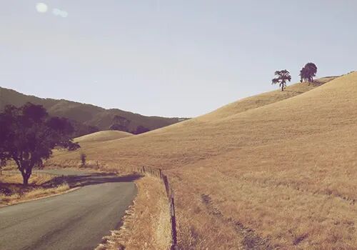 ck0w3laky01590po9d6l6q2yk summer max