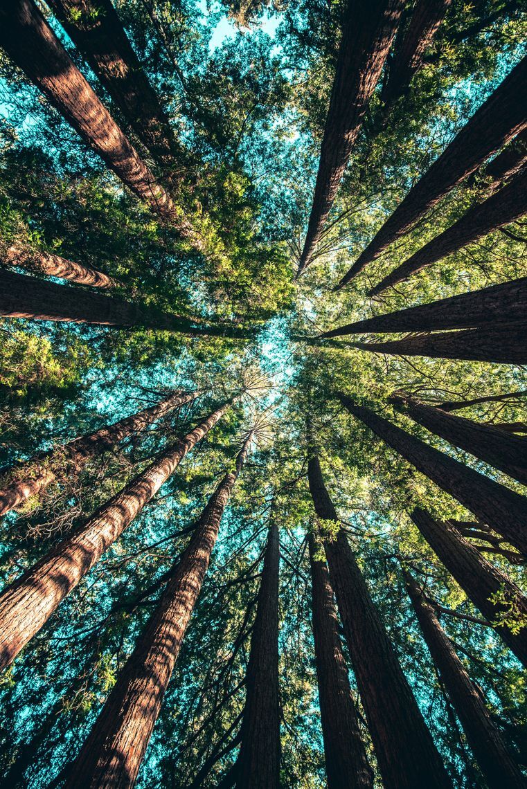 casey horner 4rdca5hblcs unsplash