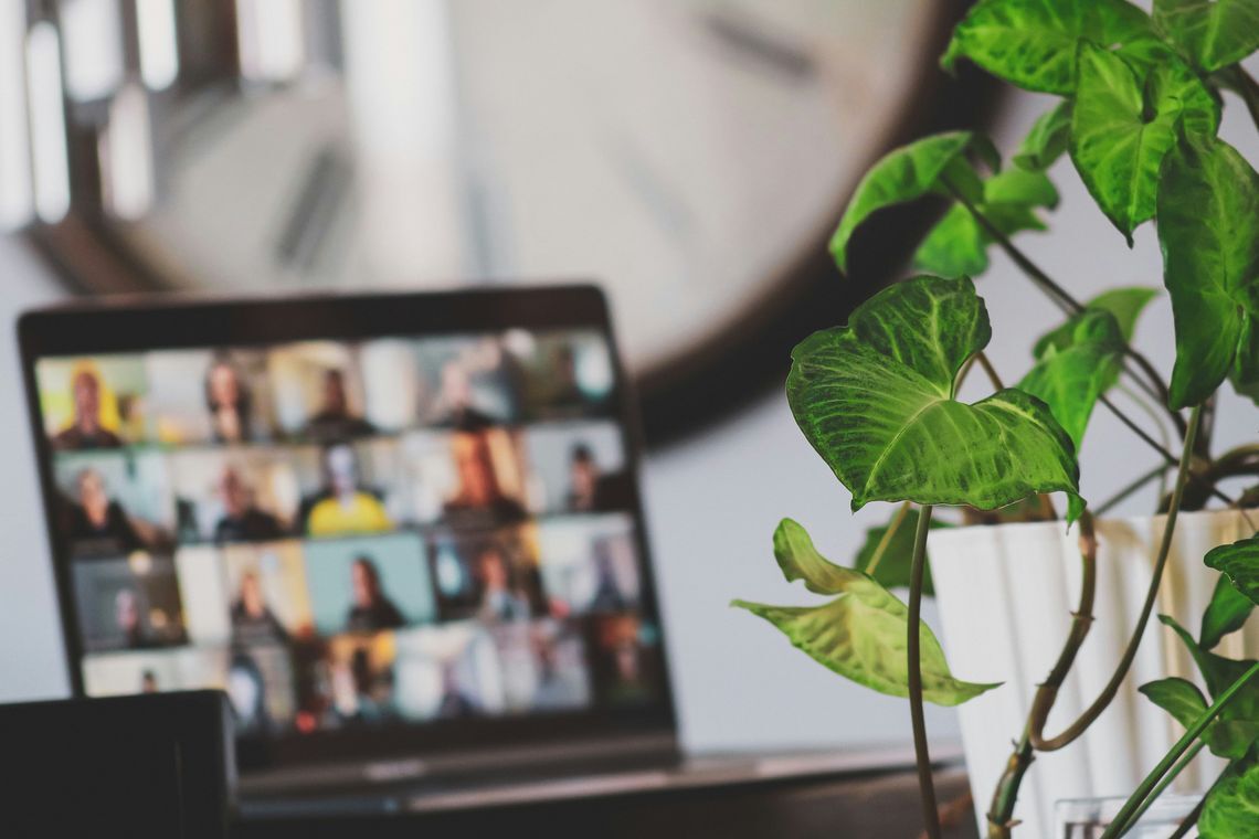 compagnons etgmffzrogc unsplash